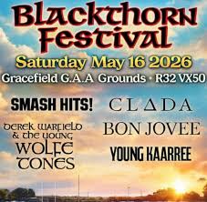 This is a poster of the The Blacktorn Festival that is happening in Portarlington County Offaly