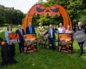 This is a photo of the Puca Spooka Festival that is happening in Tullamore