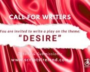This is a photo of the Scripts Ireland's Playwriting festival